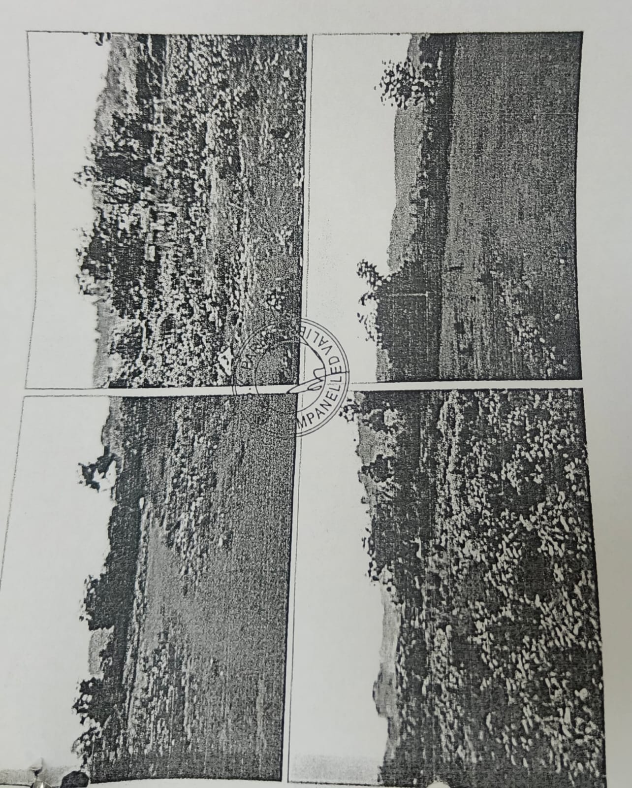 Plot for sale in BARBIL Jajanga — photo 2