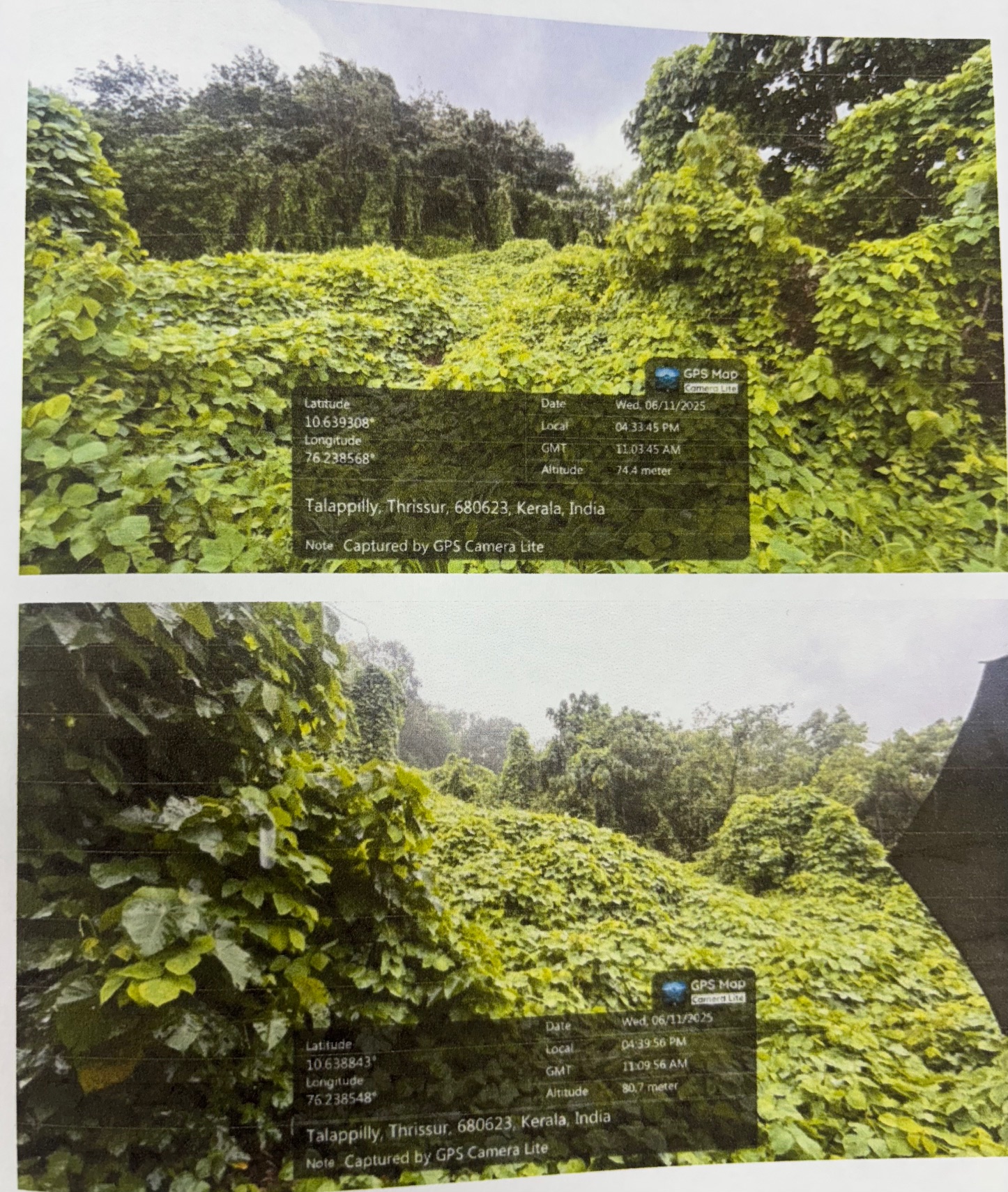 VACANT LAND for sale in Enkakkad