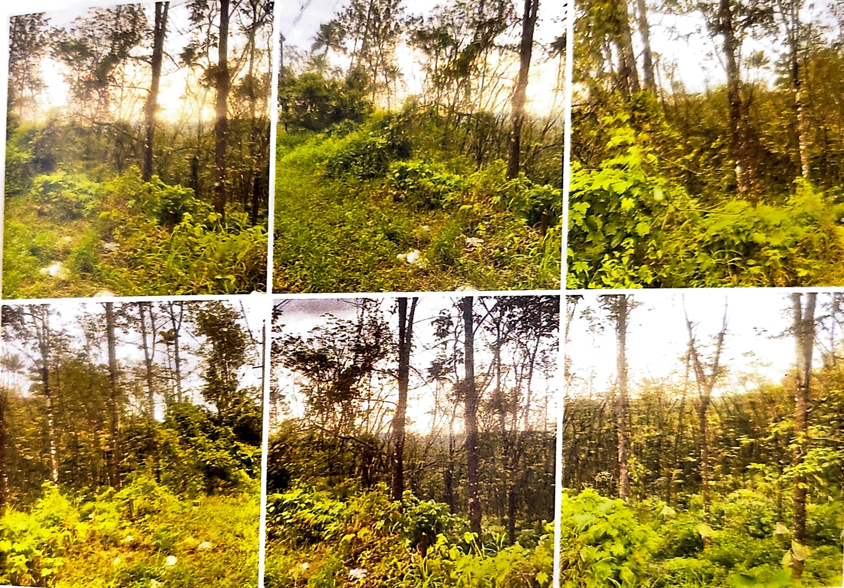LAND ONLY for sale in Kanjirappally