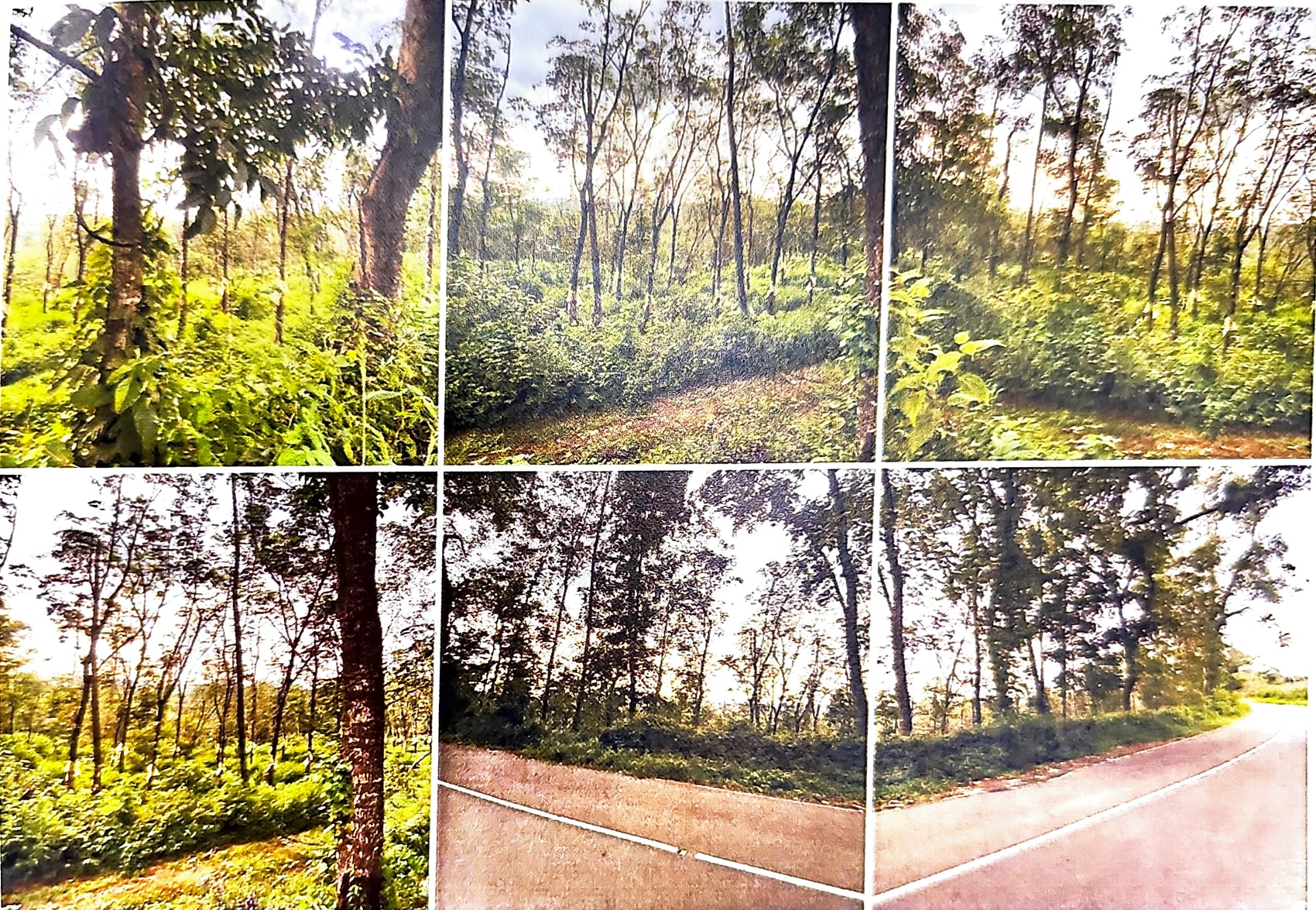 LAND ONLY for sale in Kanjirappally