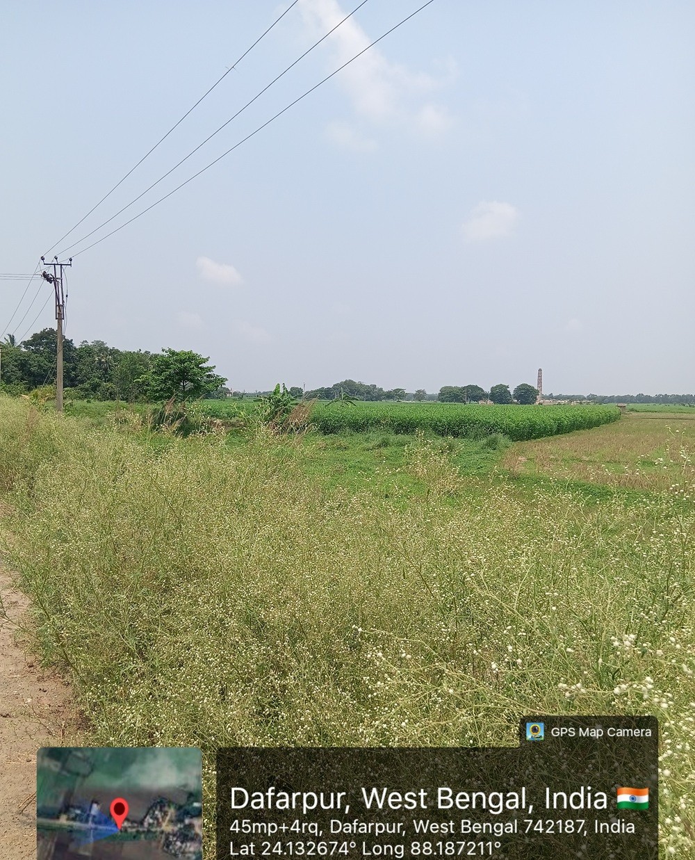 40728 square feet Plot for sale in Berhampore