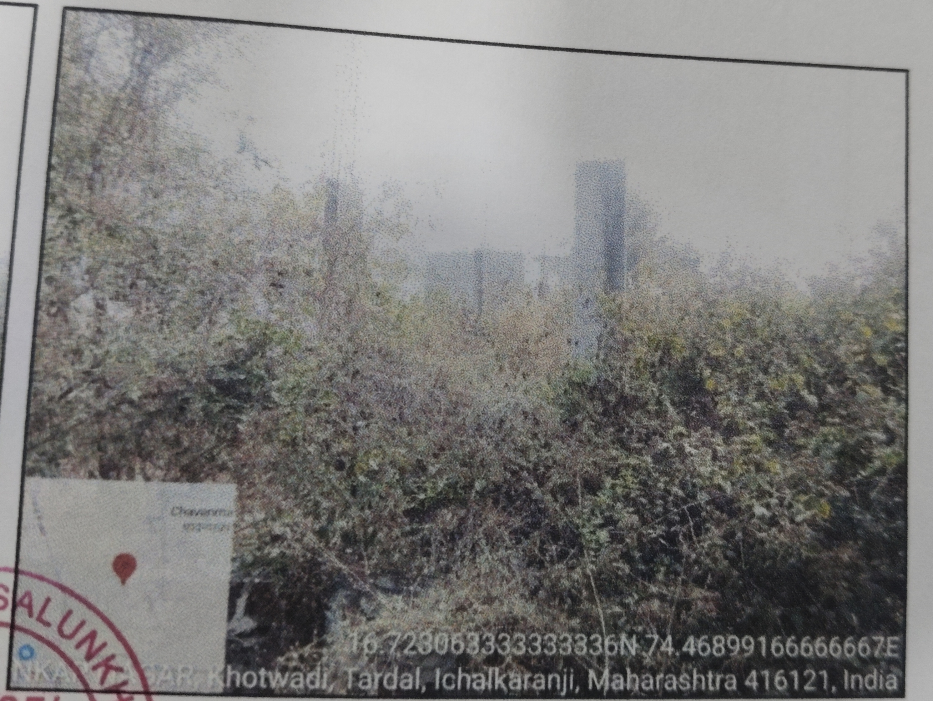 17.3 square meter Individual House for sale in Tardal Ichalkaranji