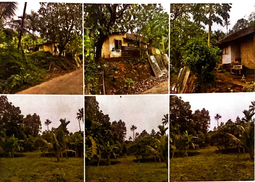 Agriculture Land for sale in Thodupuzha