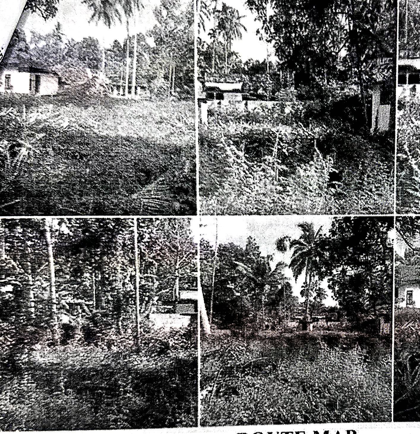250 square feet Plot for sale in THRISSUR Ala