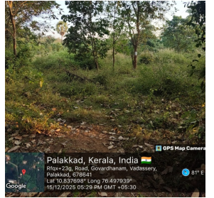 VACANT LAND for sale in Palakkad — photo 1