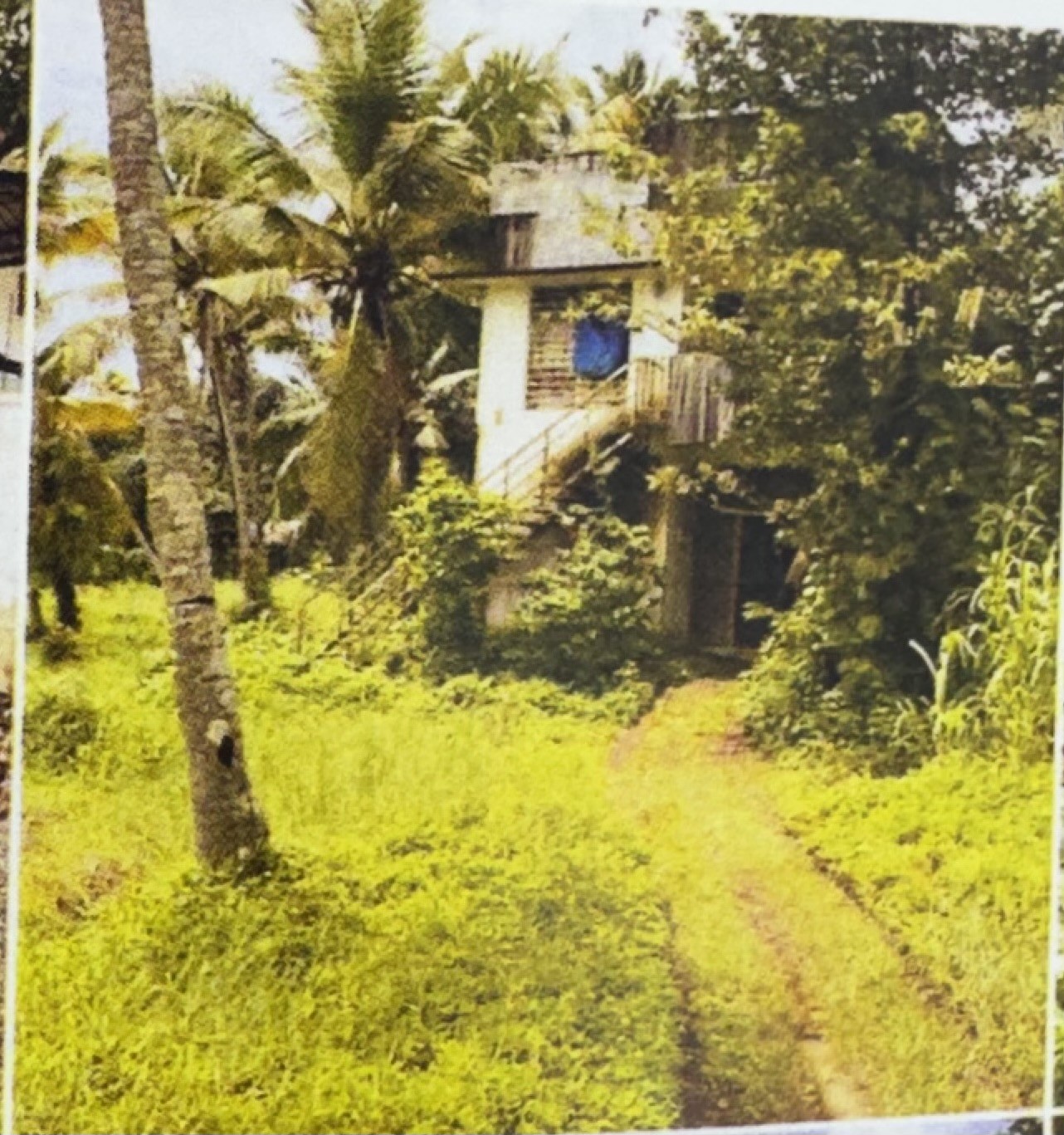 110.12 square meter Individual House for sale in Kureekkad