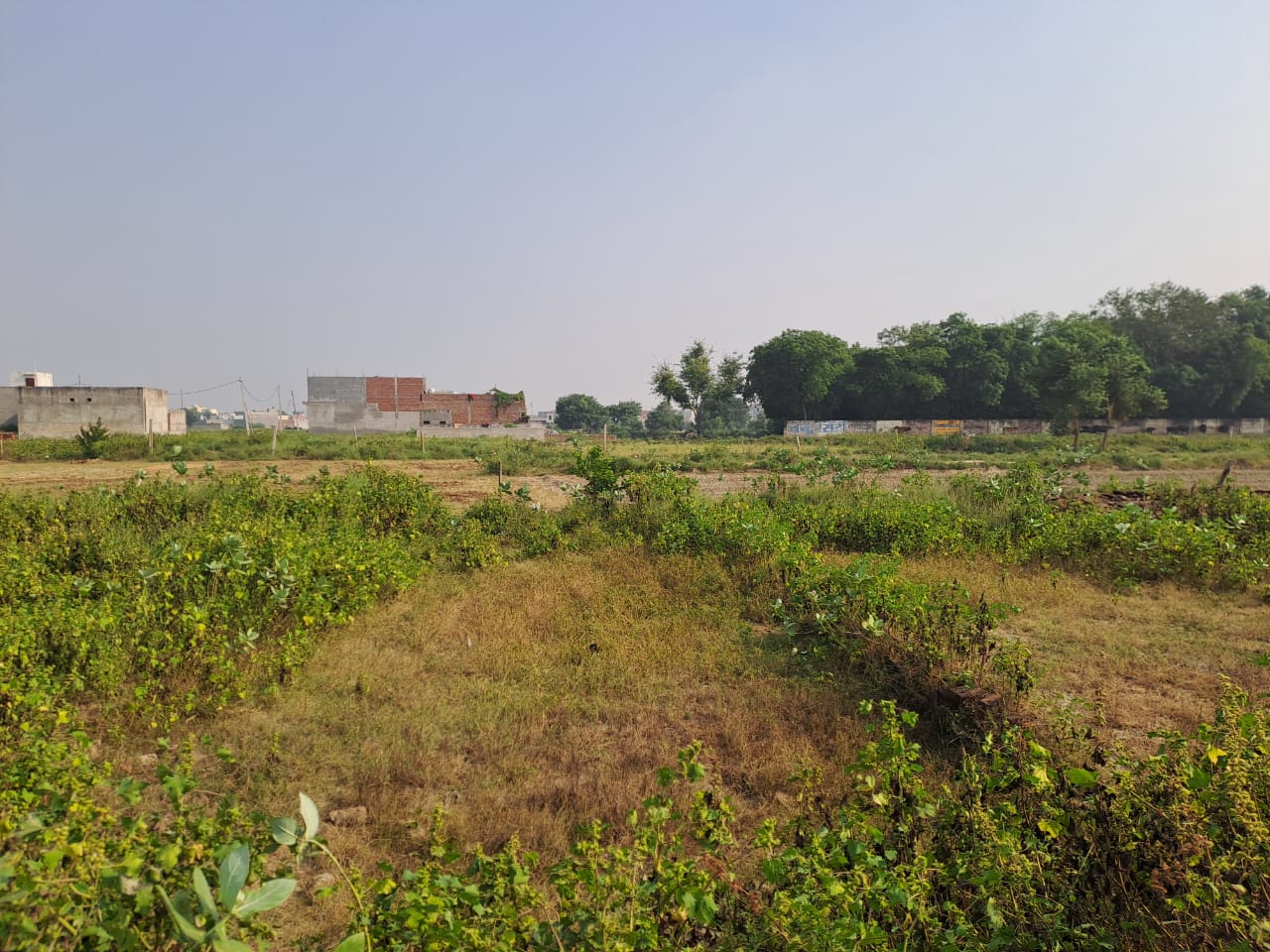 Plot for sale in 27°55'30.10"N 78° 6'45.05"E Aligarh — photo 5
