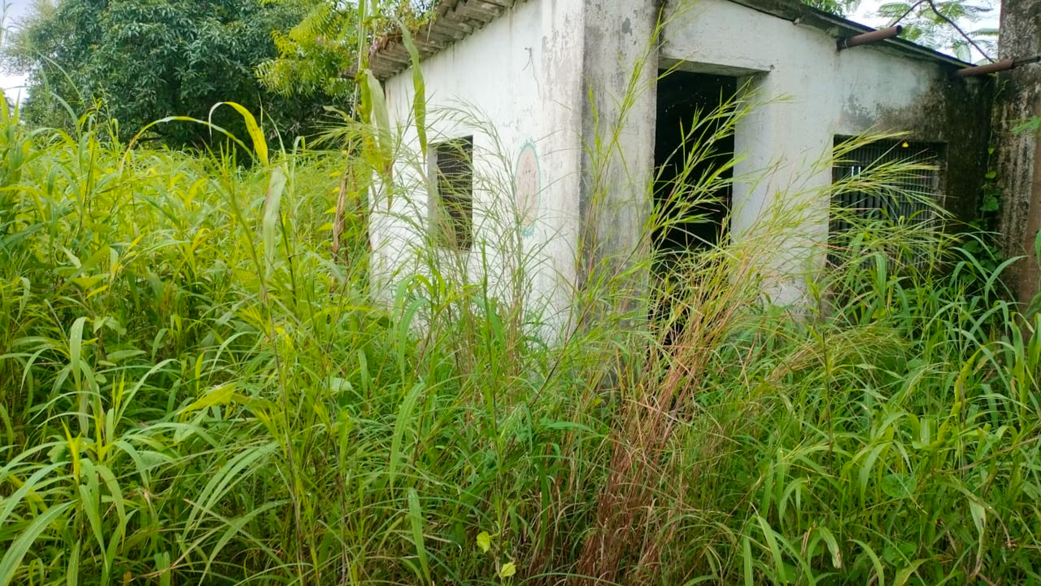 Industrial Plot with Factory Building for sale in Biloshi Vada — photo 2
