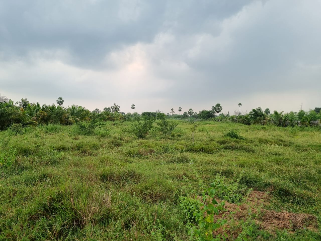 Plot for sale in Yadagirigutta