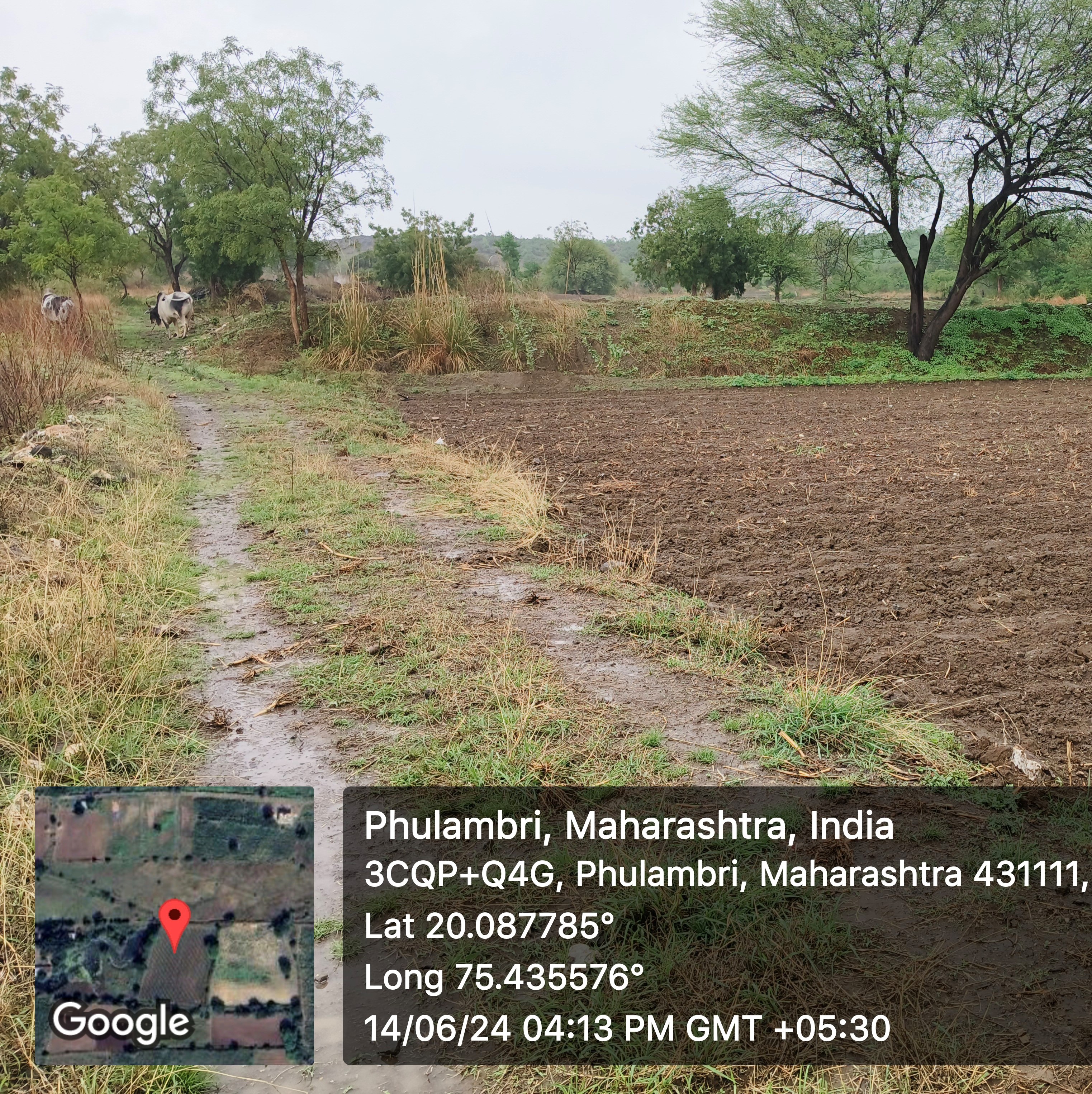 Industrial Plot for sale in Chhatrapati Sambhajinagar