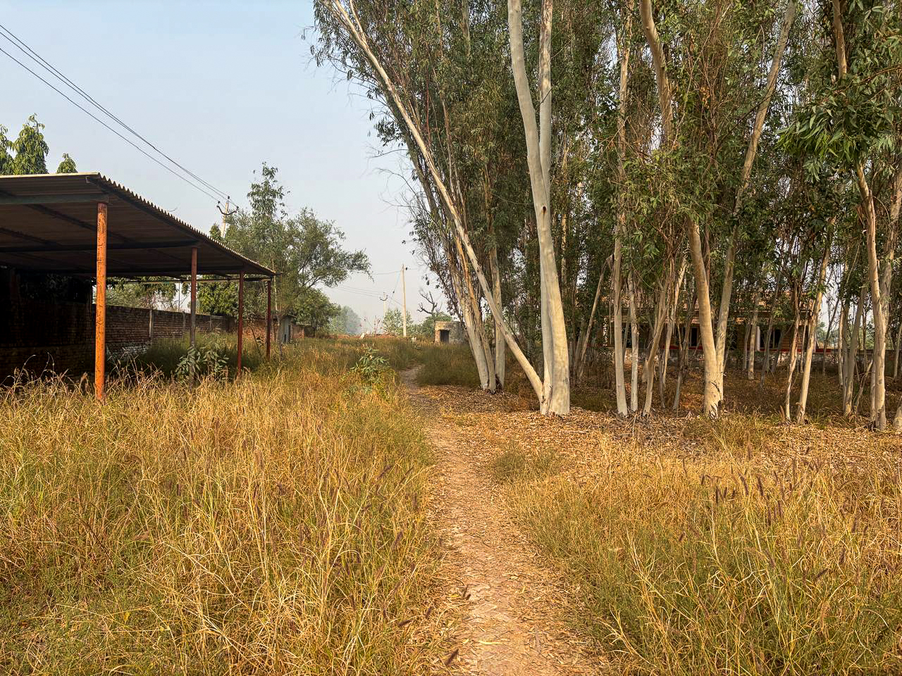 Industrial Plot with Factory Building for sale in GOLEWALA Faridkot — photo 3