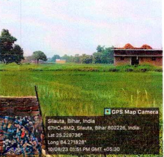 Plot for sale in Village-Silauta, Bikramganj, Dist Rohtas , Bihar-802226 Bikramganj