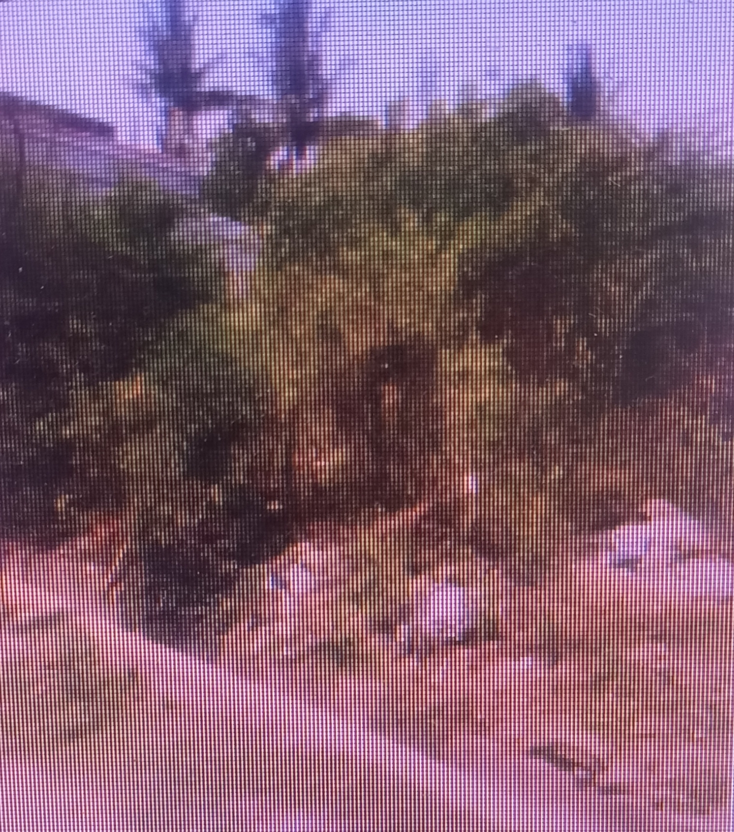 Individual House for sale in Gummidipoondi — photo 2