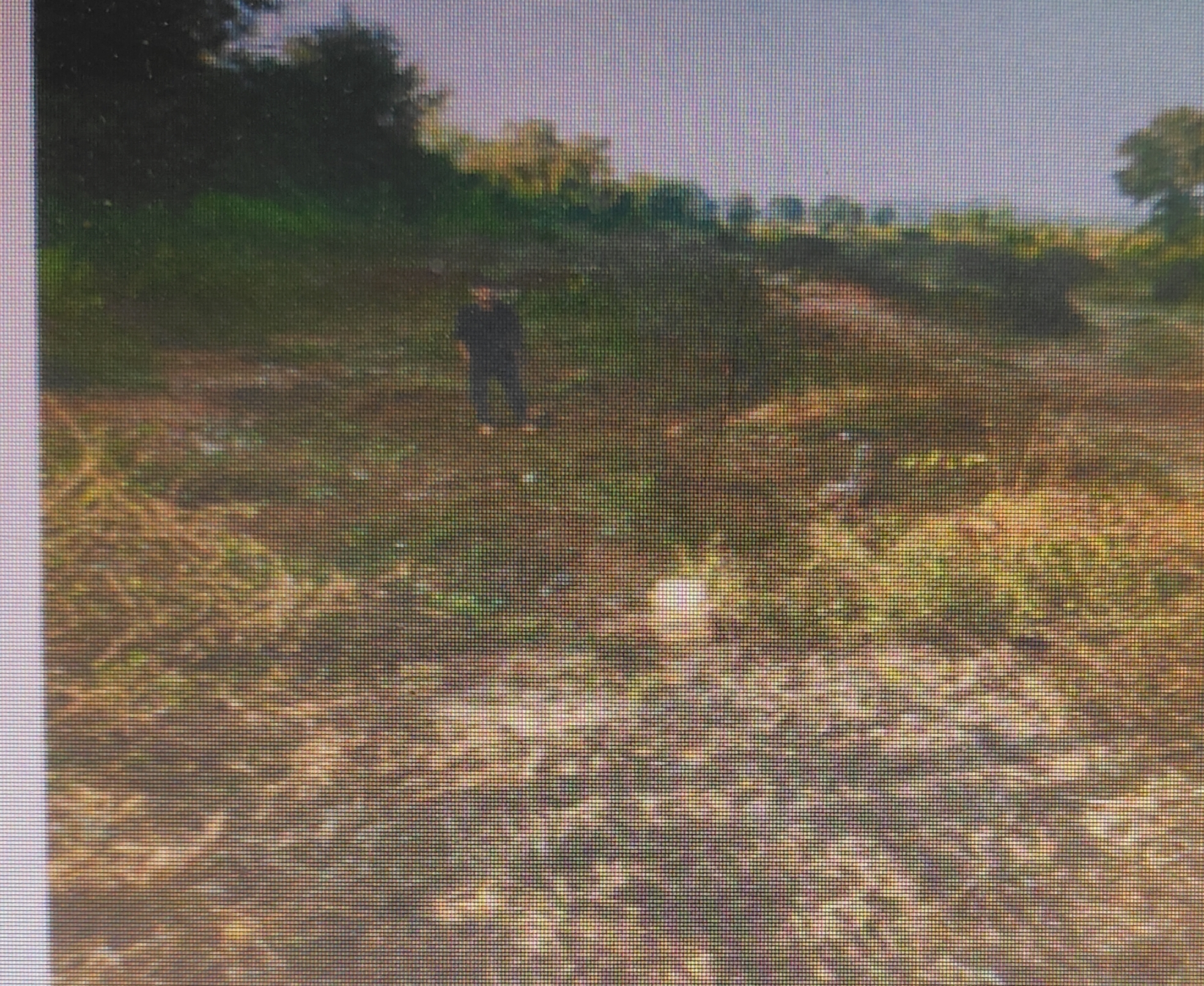 Plot for sale in Idustrial Area Hargarh