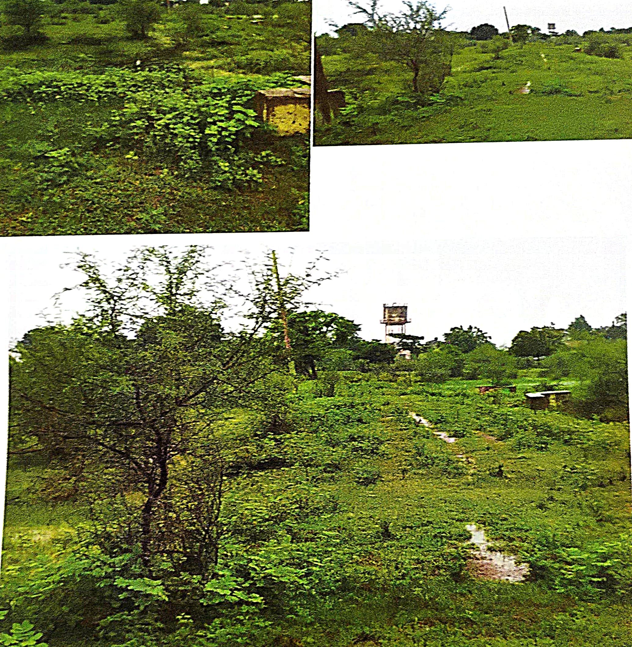 248.42 square meter Plot for sale in Warora — photo 2