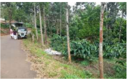Individual House for sale in MUTTAM Industrial Development Plot Muttom