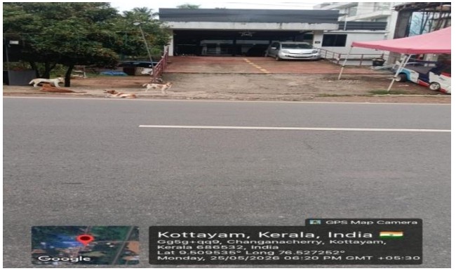 167 square meter Shops for sale in Panachikkad