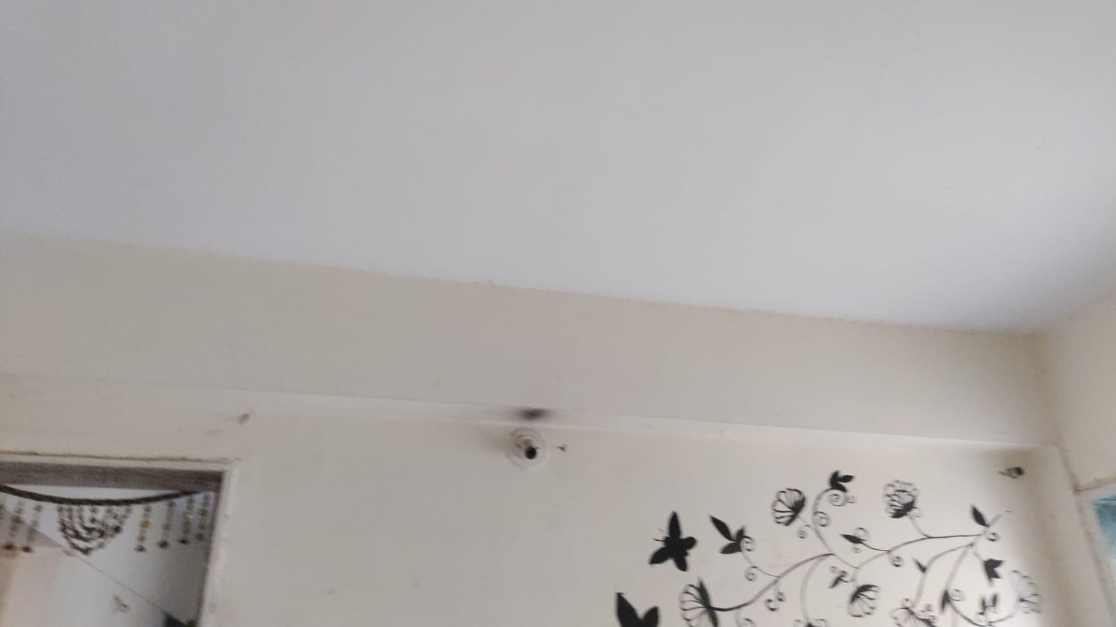 35.15 square meter Flat for sale in RAJKOT Rajkot