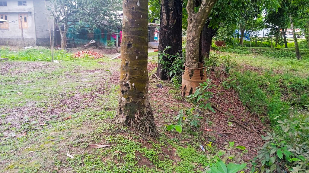25632 square feet Plot for sale in Land of Nandi Enterprise, Bagribari Anand Nagar — photo 3