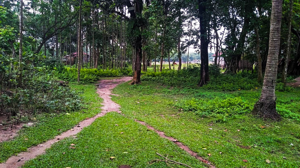 25632 square feet Plot for sale in Land of Nandi Enterprise, Bagribari Anand Nagar — photo 9