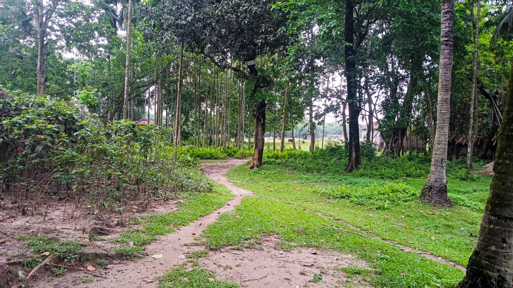 25632 square feet Plot for sale in Land of Nandi Enterprise, Bagribari Anand Nagar — photo 4