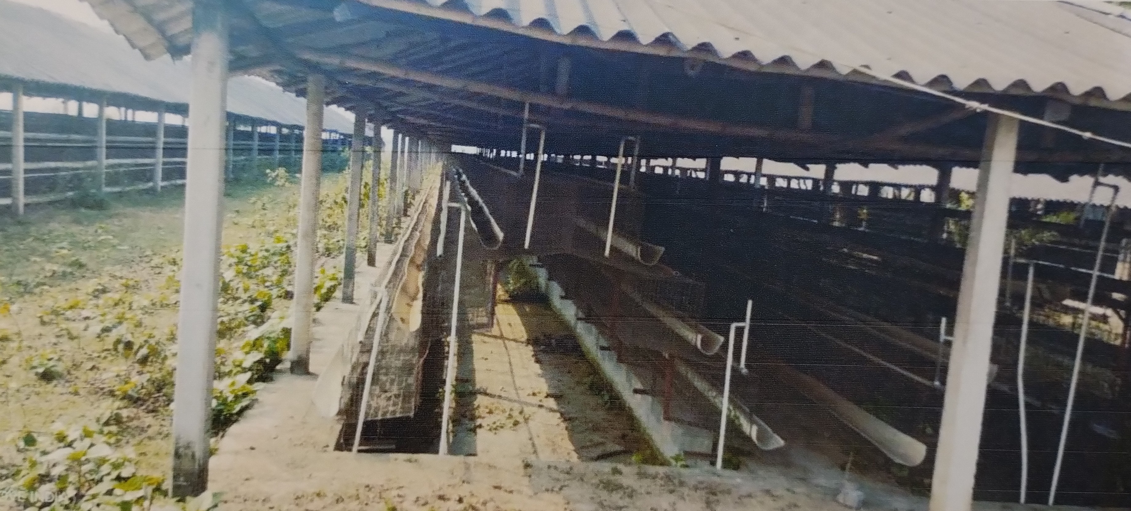 Industrial Shed for sale in Village Road at Sonai, Mahalla- Charaktala, Vill& PO- Sonai Burdwan — photo 5