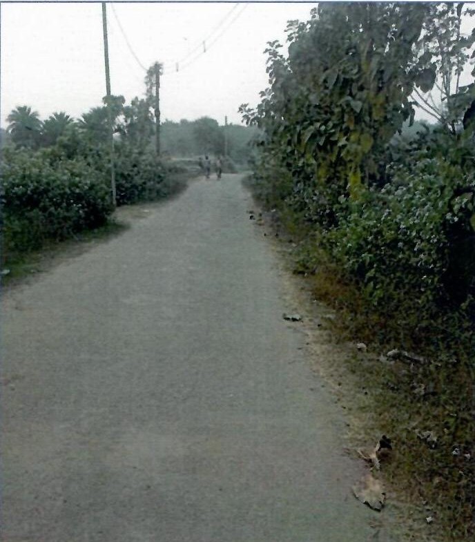 Plot for sale in Mouza-Jemua, P.O. & P.S. Mejia Bankura — photo 4