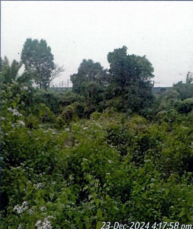 Plot for sale in Mouza-Jemua, P.O. & P.S. Mejia Bankura — photo 3