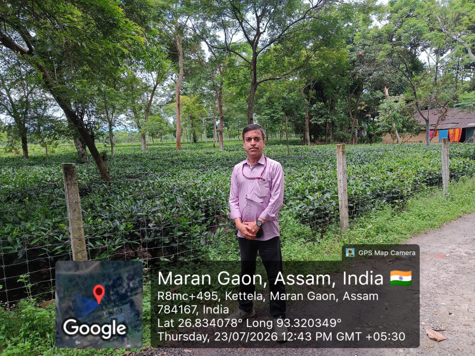 Tea Garden for sale in Biswanath Chariali