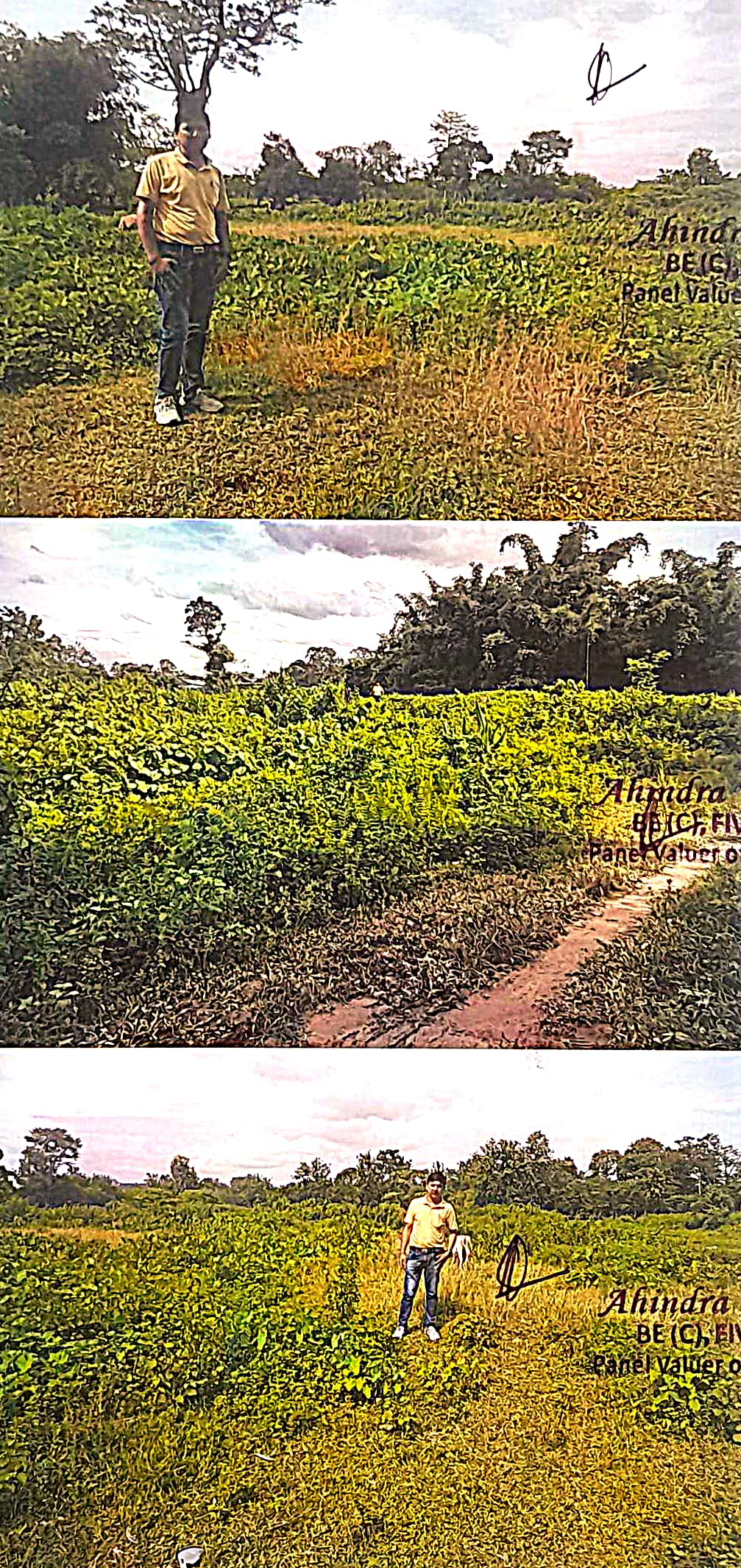 Plot for sale in Makum