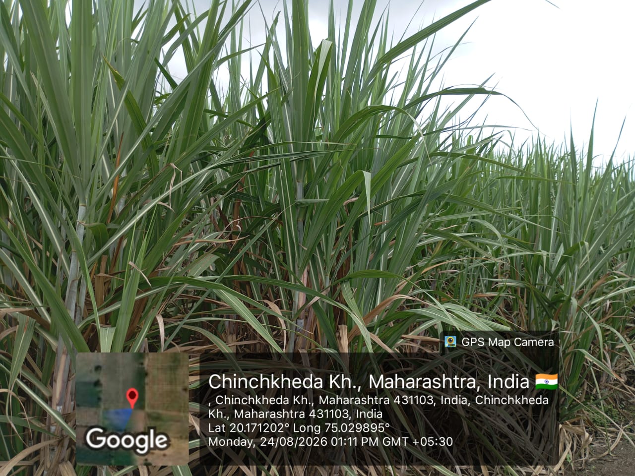 Agriculture Land for sale in Kannad — photo 2