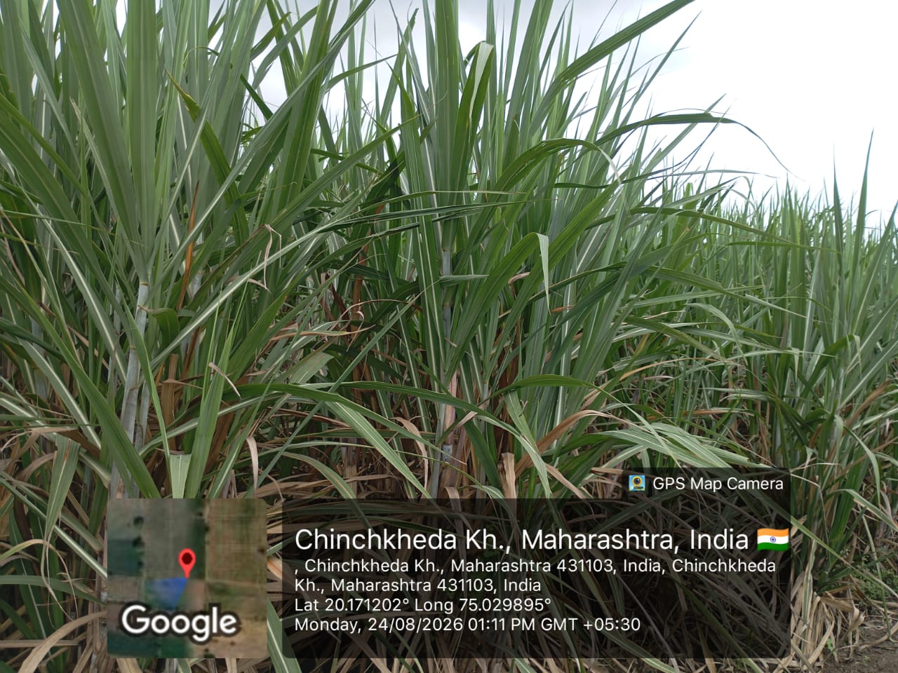 Agriculture Land for sale in Kannad