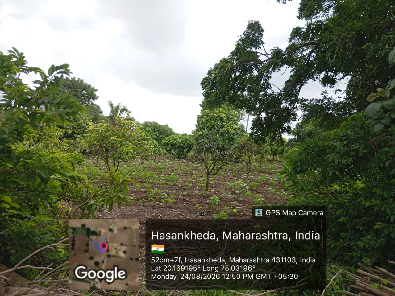 Agriculture Land for sale in Kannad — photo 3