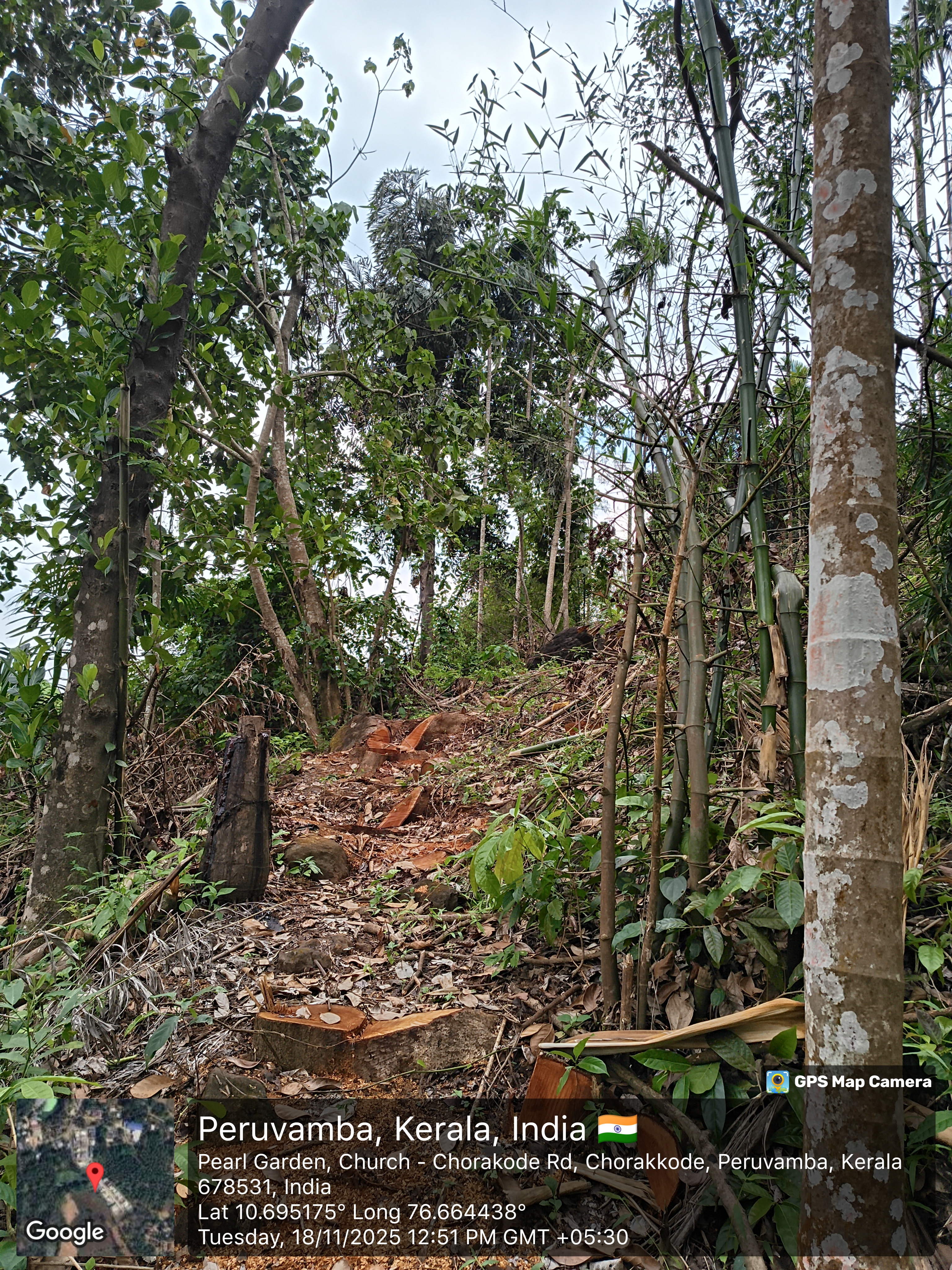 RUBBER ESTATE for sale in PULINGOME Kannur — photo 3