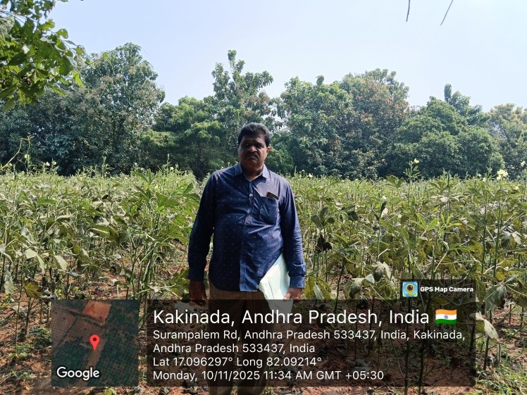 NON AGRI LAND for sale in Peddapuram