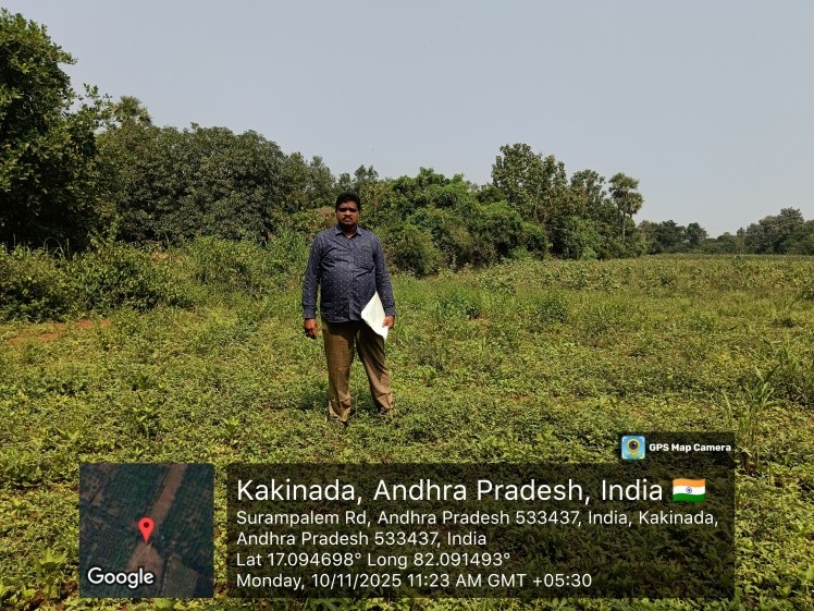 NON AGRI LAND for sale in Peddapuram