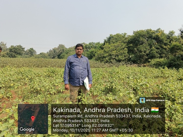 NON AGRI LAND for sale in Peddapuram
