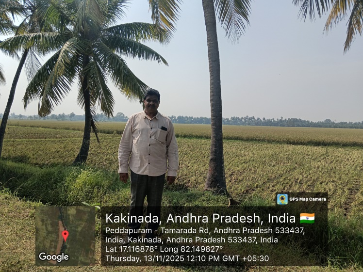 Plot for sale in Peddapuram