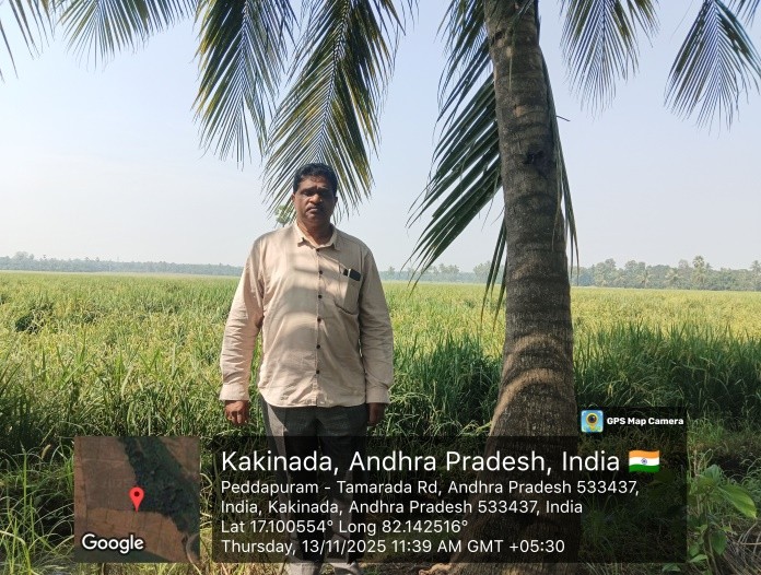 NON AGRI LAND for sale in Peddapuram