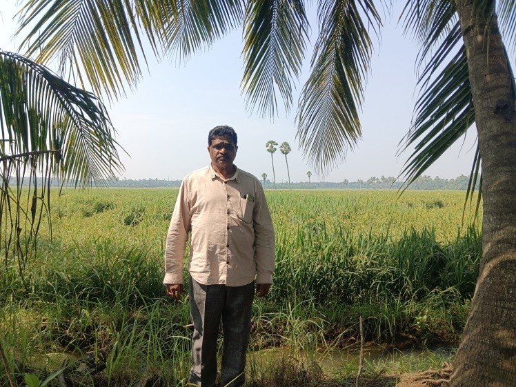 NON AGRI LAND for sale in Peddapuram