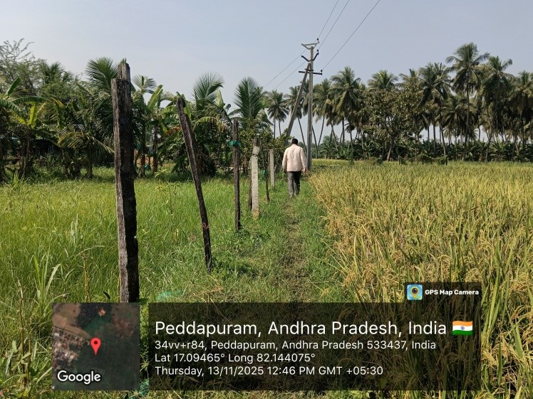 NON AGRI LAND for sale in Peddapuram