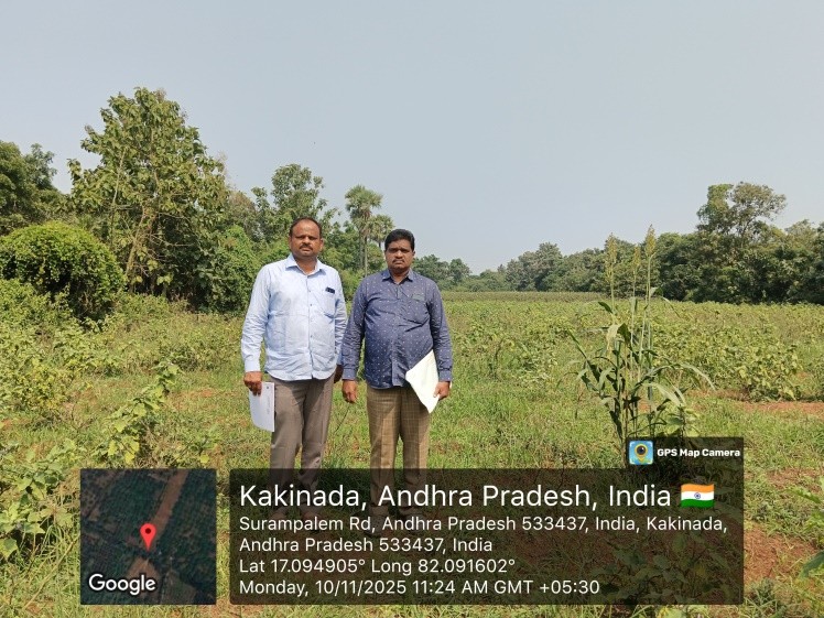 NON AGRI LAND for sale in Peddapuram