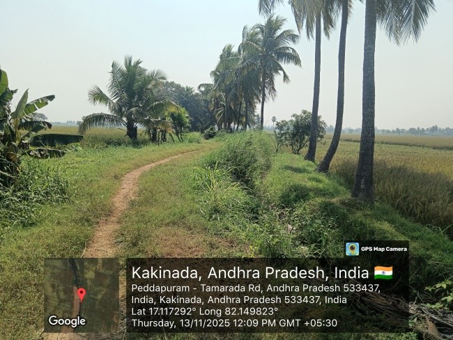 non agricultural land for sale in Peddapuram