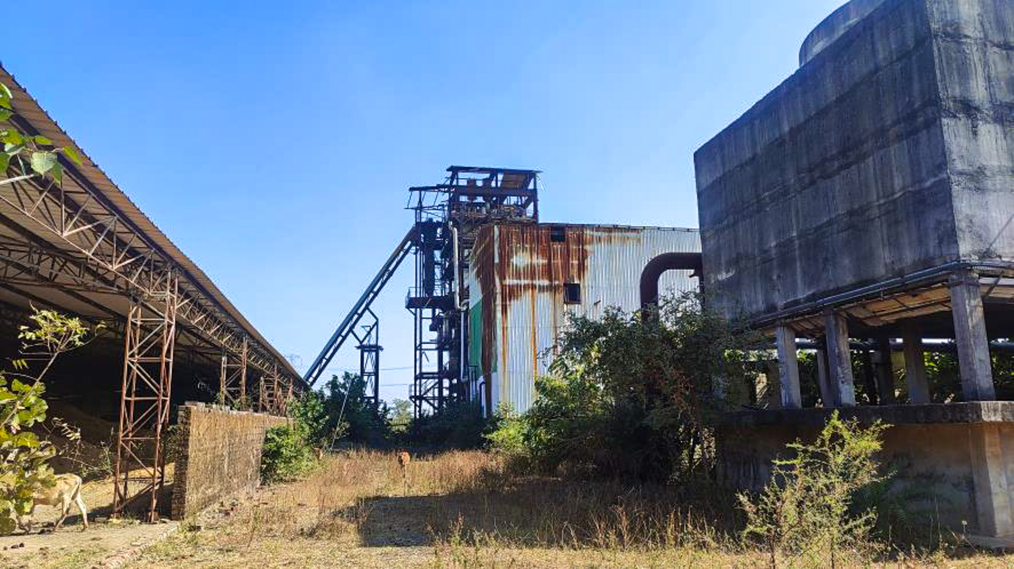 Industrial Plot with Factory Building for sale in Bilaspur (Chhattisgarh) Takhatpur — photo 7