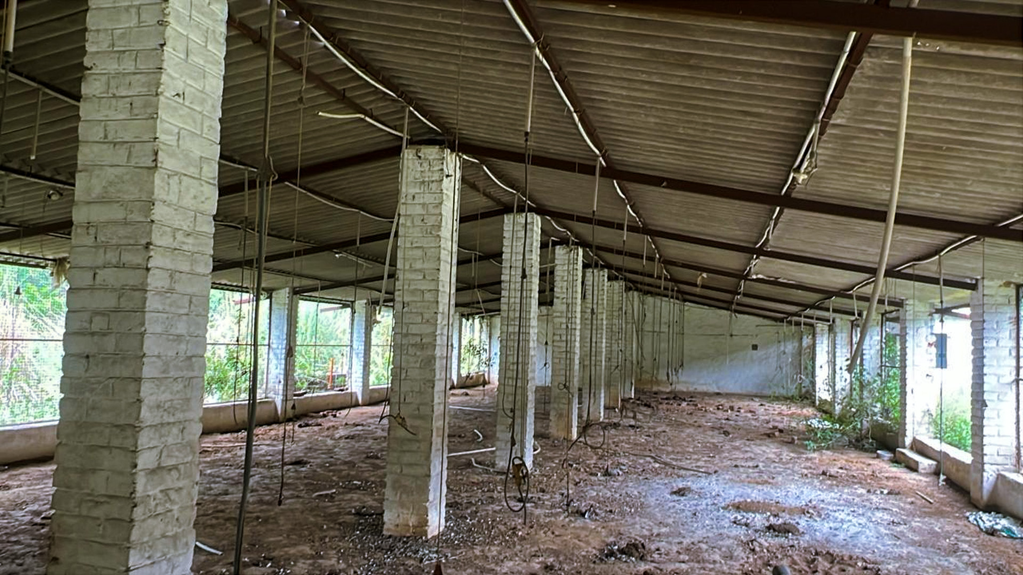 3294 square meter Godowns for sale in Una — photo 6
