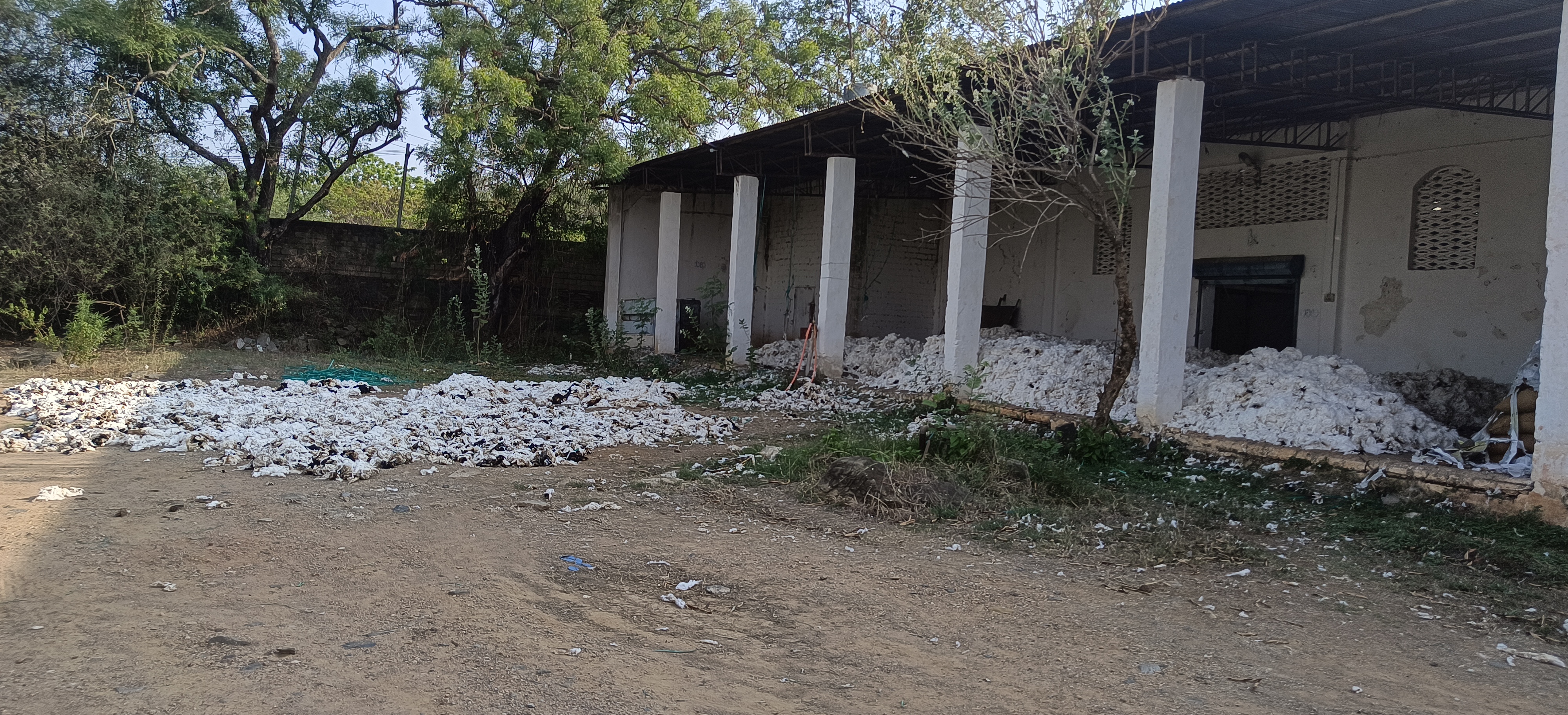 Industrial Plot with Factory Building for sale in Byadgi
