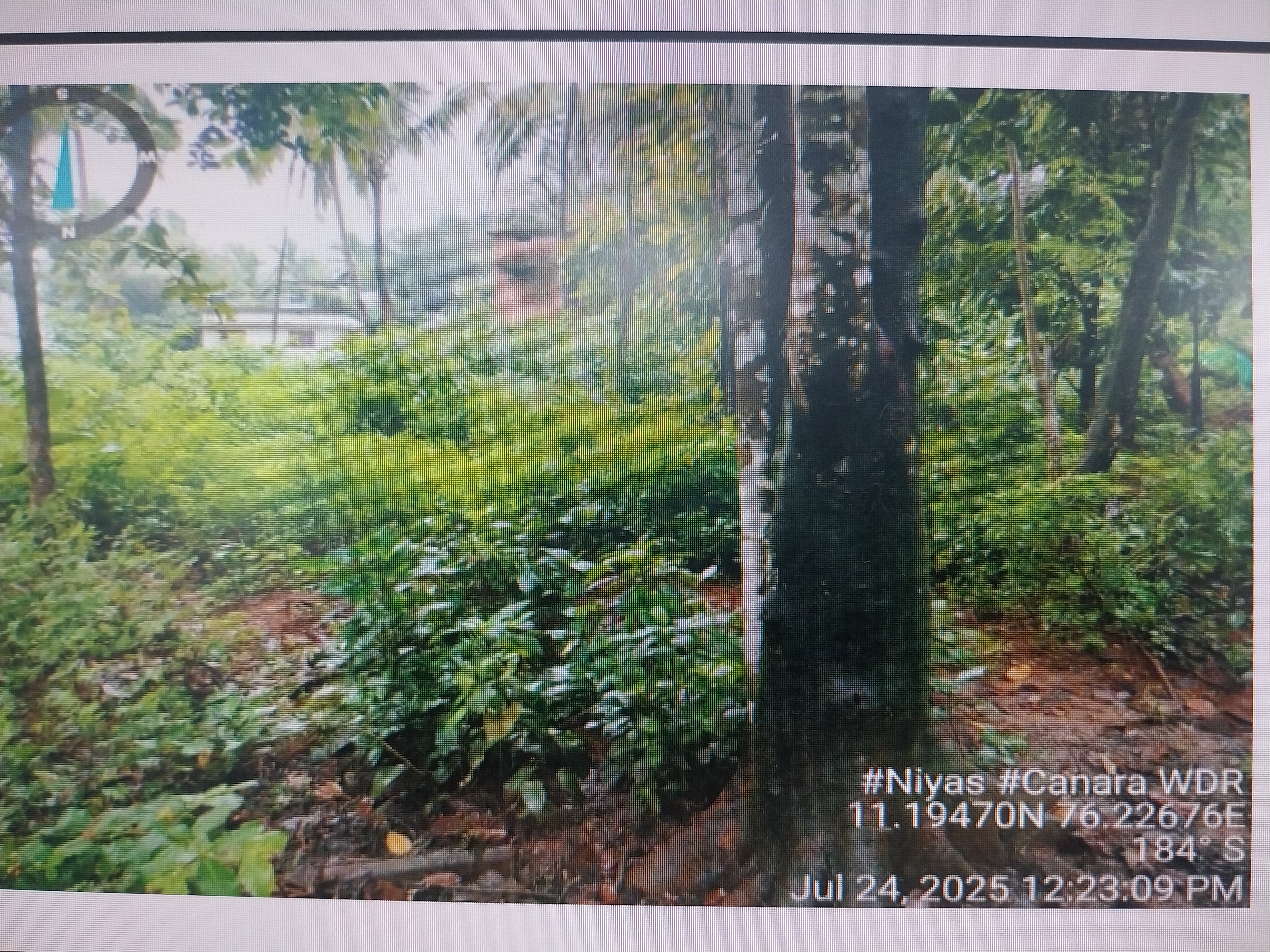 VACANT LAND for sale in Wandoor Village, Nilambur Taluk,Malappuram District Nilambur
