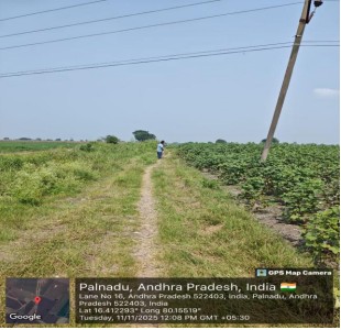 Dry land for sale in SATTENAPALLI Sattenapalle
