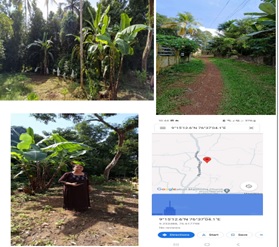 OPEN LAND for sale in Venmoney Village, Chengannur Taluk, Alappuzha District, Kerala State Chengannur