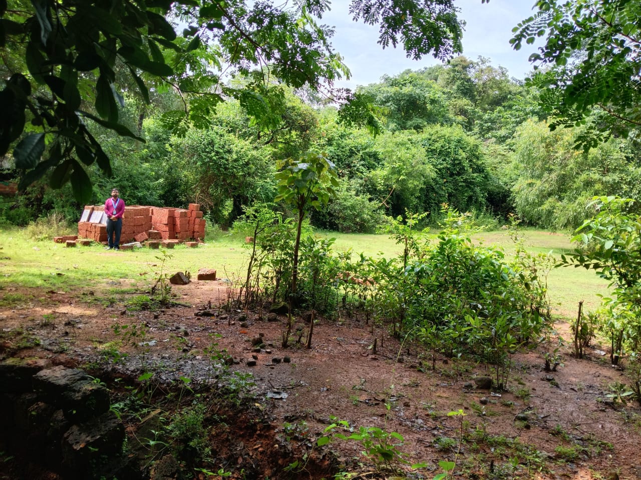 OPEN PLOT for sale in OPEN PLOT/ MIDDLE CLASS Venkatapura